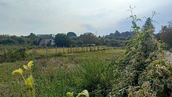 terreno agricolo in vendita a Monte Compatri