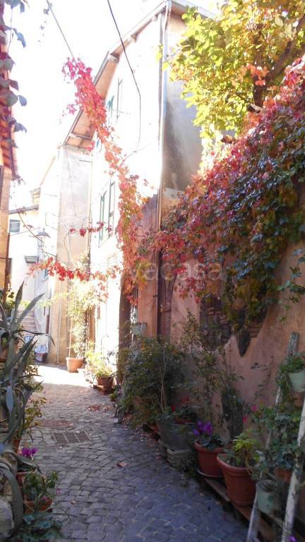 casa indipendente in vendita a Monte Compatri