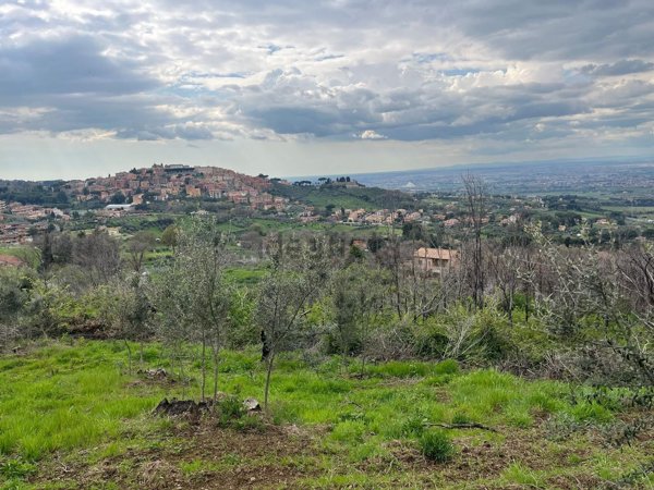 terreno agricolo in vendita a Monte Compatri