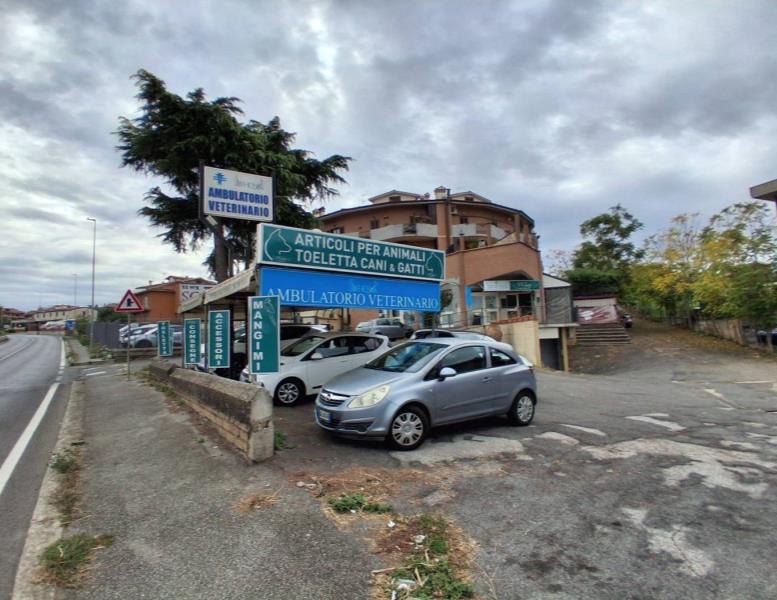 appartamento in vendita a Monte Compatri in zona Laghetto