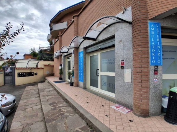 appartamento in vendita a Monte Compatri in zona Laghetto