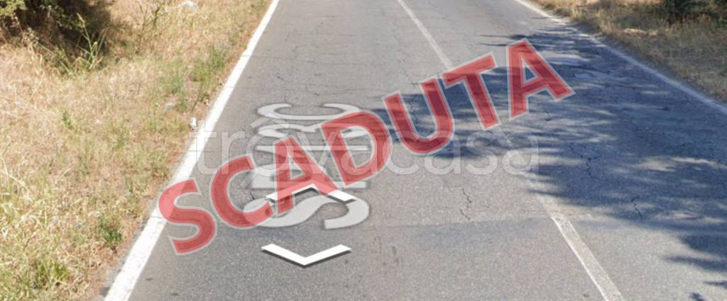 terreno agricolo in vendita a Monte Compatri