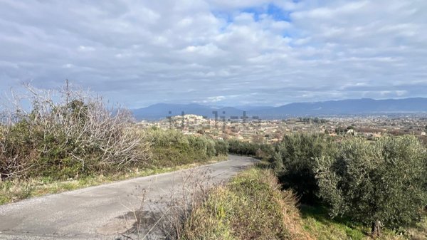 terreno agricolo in vendita a Monte Compatri