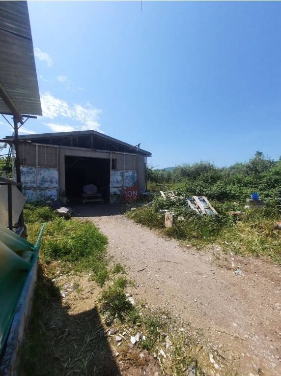 locale commerciale in vendita a Monte Compatri in zona Laghetto