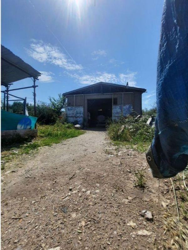 negozio in vendita a Monte Compatri in zona Laghetto