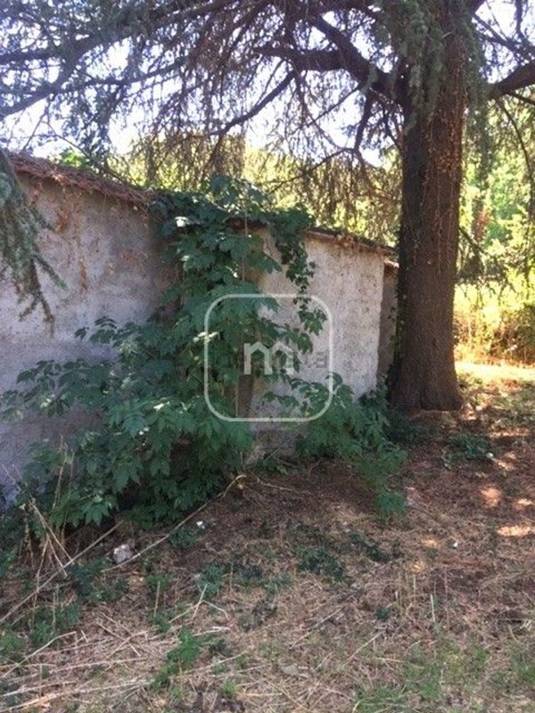 appartamento in vendita a Monte Compatri in zona Pantano