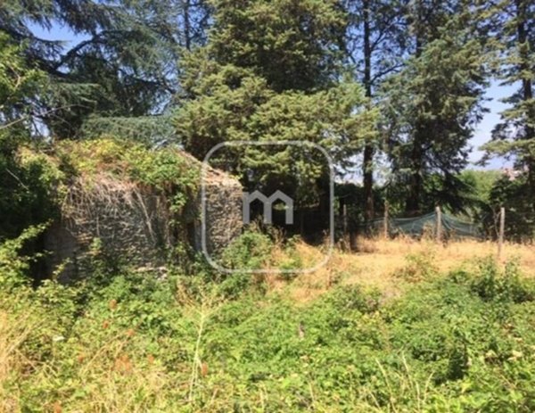 casa indipendente in vendita a Monte Compatri in zona Pantano