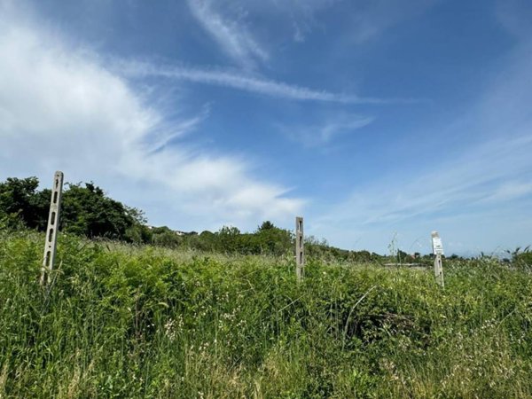 terreno agricolo in vendita a Monte Compatri