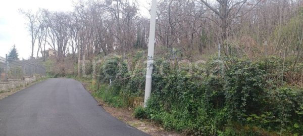 terreno agricolo in vendita a Monte Compatri