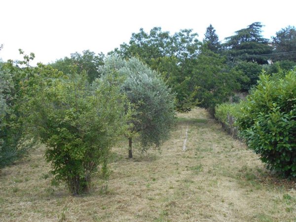 terreno agricolo in vendita a Monte Compatri