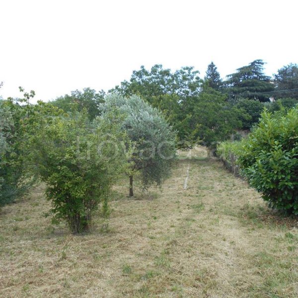 terreno agricolo in vendita a Monte Compatri