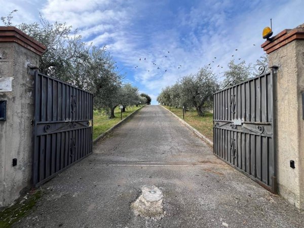 terreno agricolo in vendita a Monte Compatri in zona Pantano