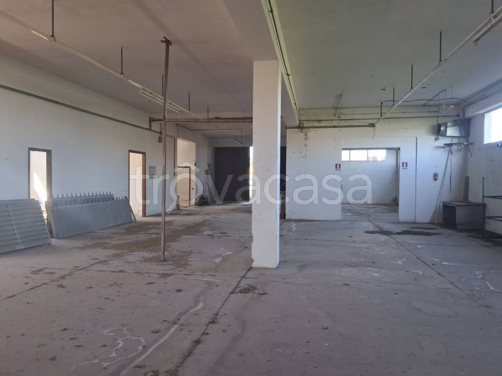 appartamento in vendita a Monte Compatri in zona Pantano