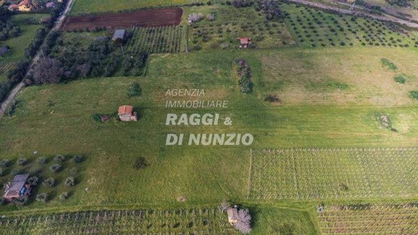 terreno agricolo in vendita a Monte Compatri