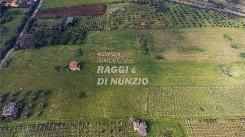 terreno agricolo in vendita a Monte Compatri