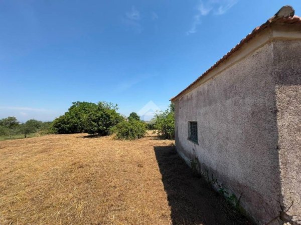 terreno agricolo in vendita a Monte Compatri in zona Pantano