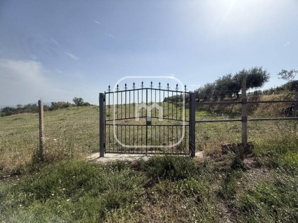 terreno agricolo in vendita a Monte Compatri in zona Pantano