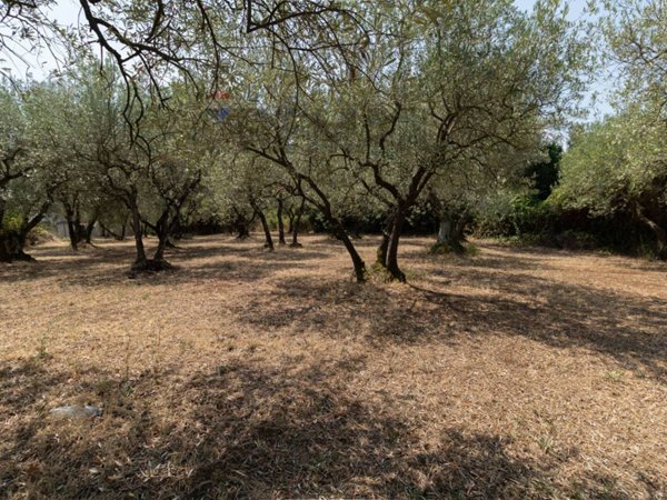 terreno in vendita a Monte Compatri in zona Pantano