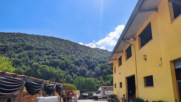 casa indipendente in vendita a Montelanico