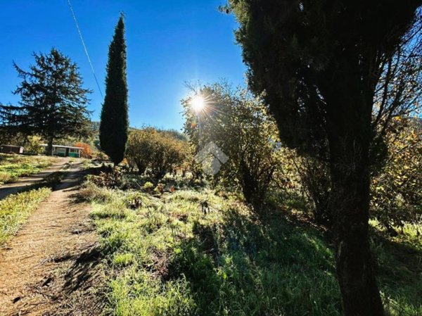 appartamento in vendita a Montelanico