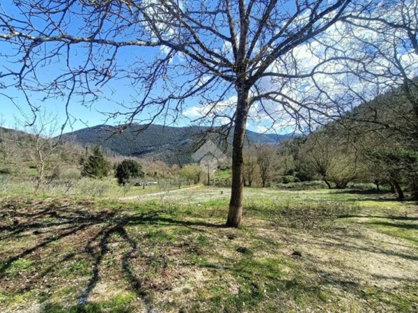 terreno agricolo in vendita a Montelanico