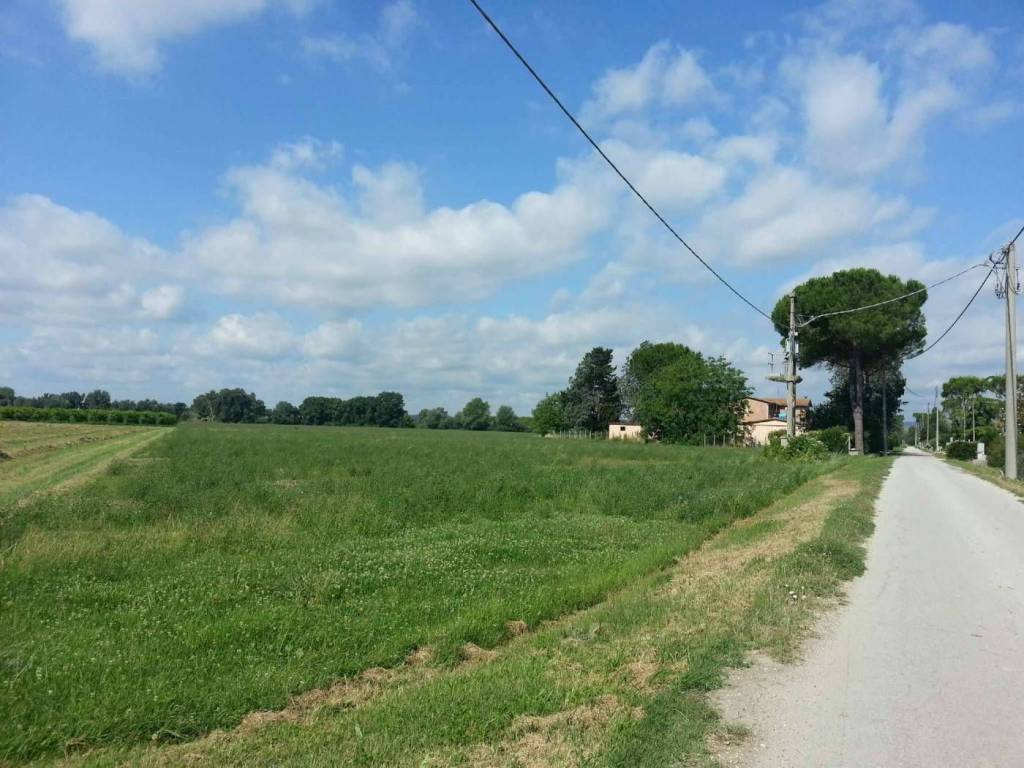 terreno agricolo in vendita a Montelibretti