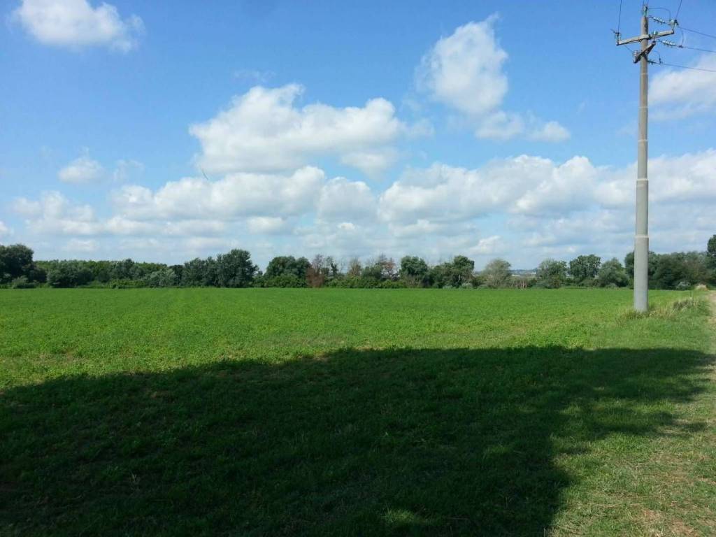 terreno agricolo in vendita a Montelibretti