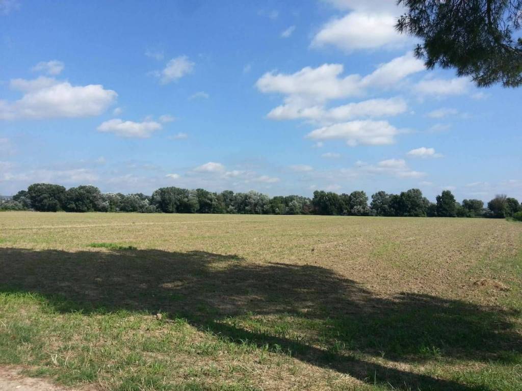 terreno agricolo in vendita a Montelibretti