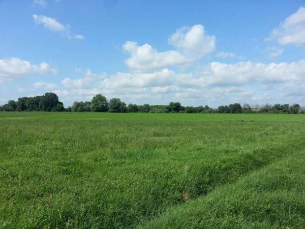 terreno agricolo in vendita a Montelibretti