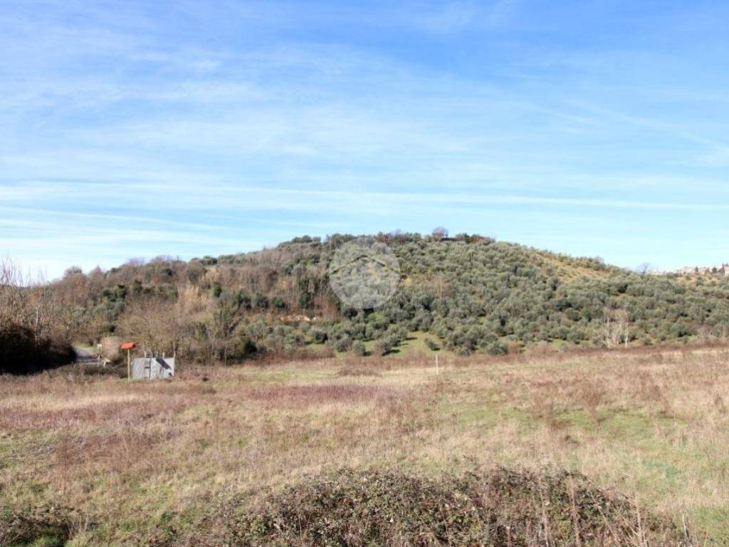 terreno agricolo in vendita a Montelibretti