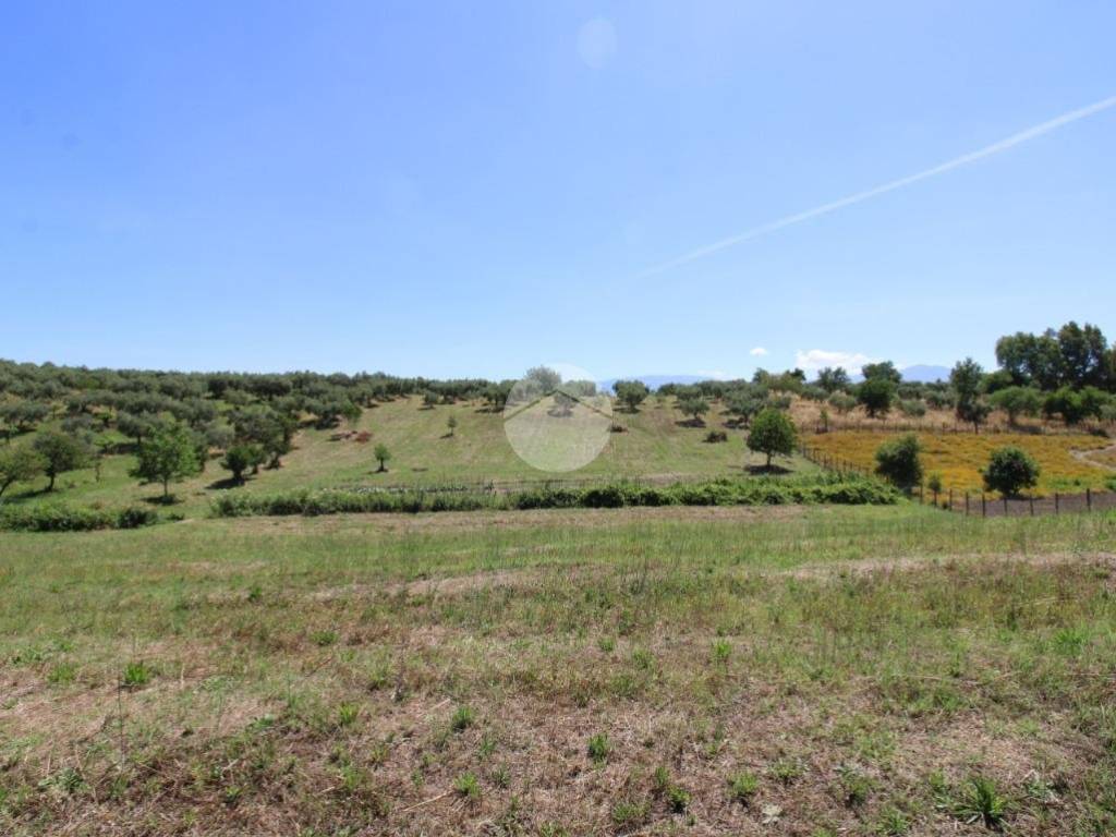 terreno agricolo in vendita a Montelibretti