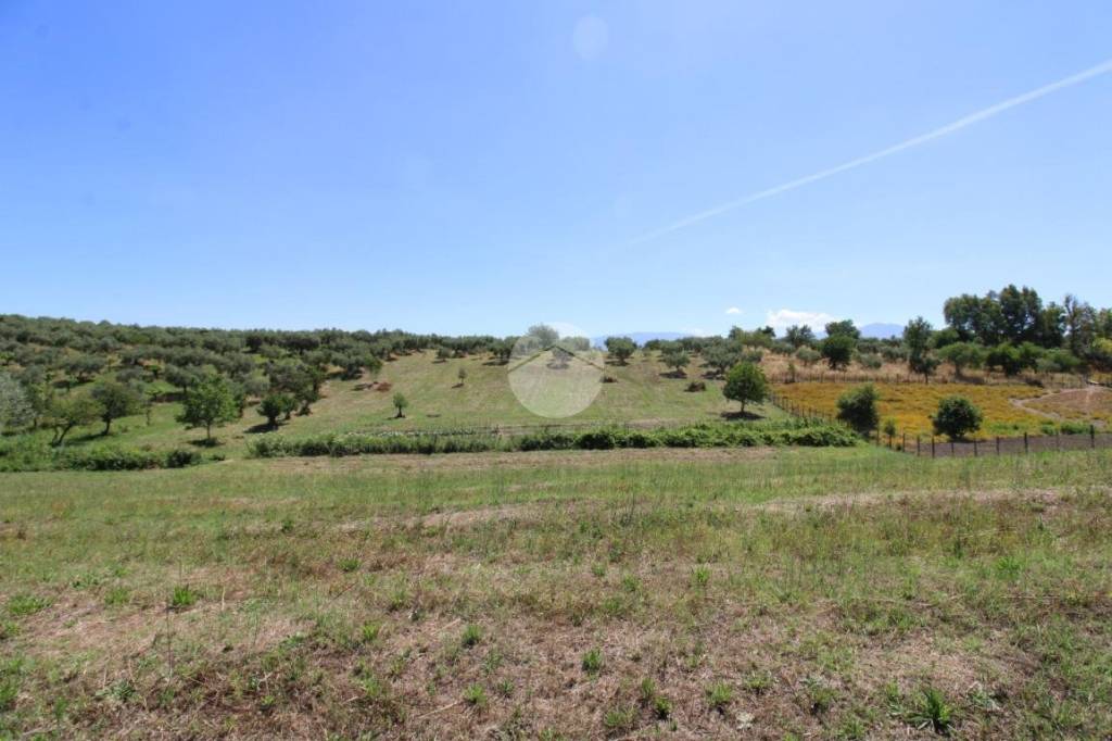 terreno agricolo in vendita a Montelibretti