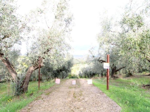 terreno agricolo in vendita a Montelibretti