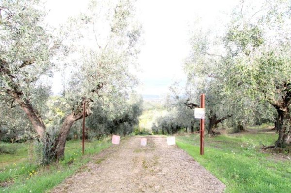 terreno agricolo in vendita a Montelibretti