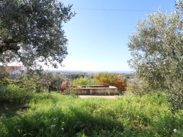 terreno agricolo in vendita a Montelibretti