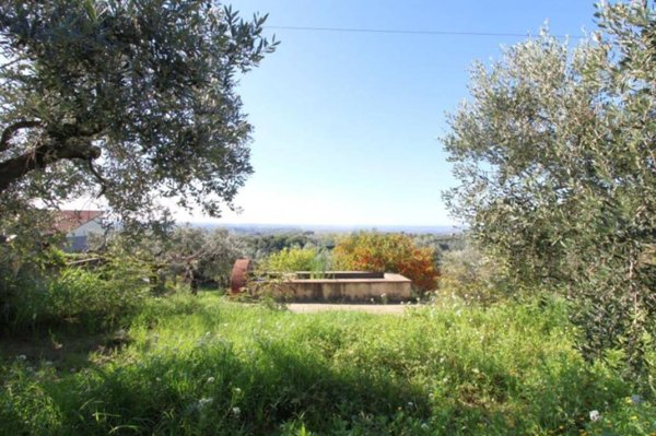 terreno agricolo in vendita a Montelibretti