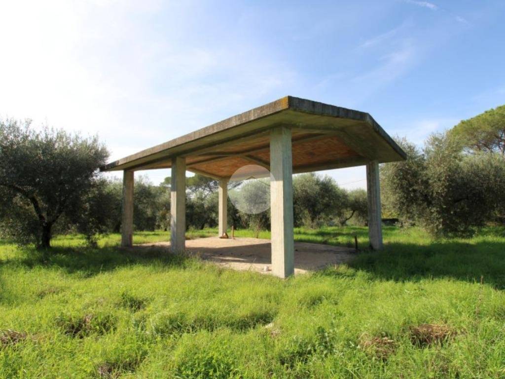terreno agricolo in vendita a Montelibretti