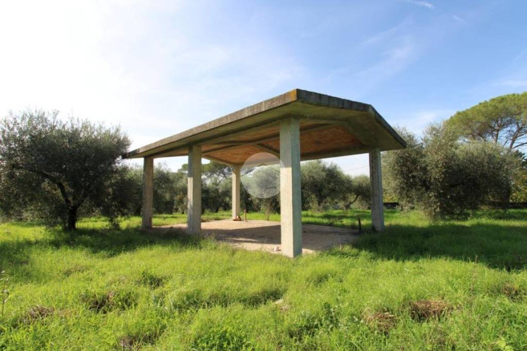 terreno agricolo in vendita a Montelibretti