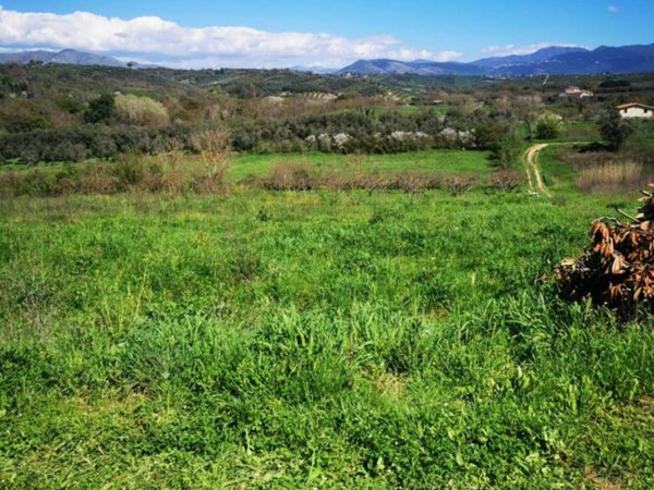 terreno agricolo in vendita a Montelibretti