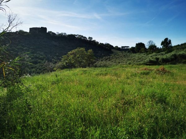 terreno agricolo in vendita a Montelibretti