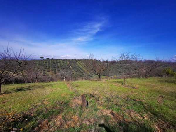 terreno agricolo in vendita a Montelibretti
