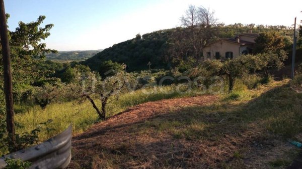 terreno agricolo in vendita a Montelibretti
