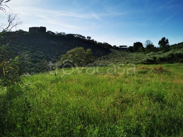 terreno agricolo in vendita a Montelibretti