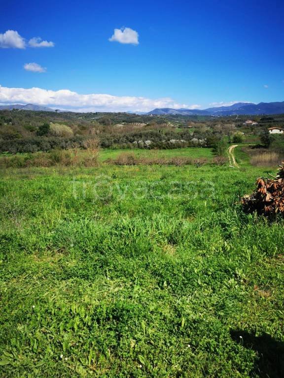 terreno agricolo in vendita a Montelibretti