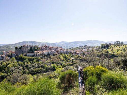 terreno agricolo in vendita a Montelibretti