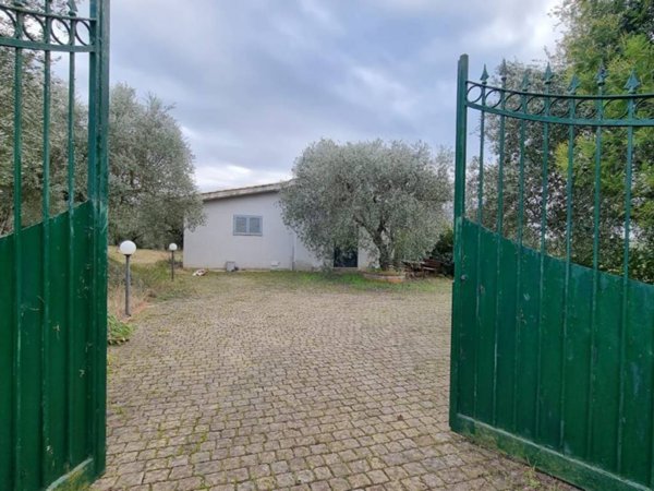 terreno agricolo in vendita a Montelibretti