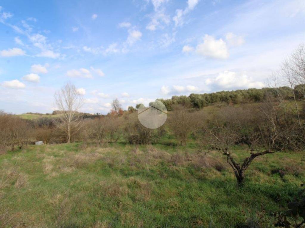 terreno agricolo in vendita a Montelibretti