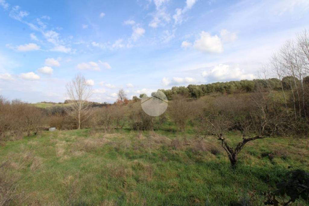 terreno agricolo in vendita a Montelibretti