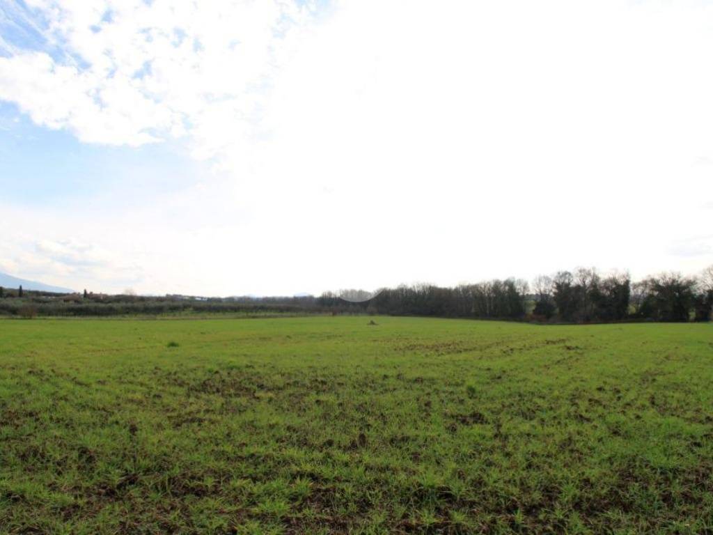 terreno agricolo in vendita a Montelibretti