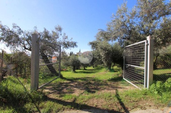 terreno edificabile in vendita a Montelibretti